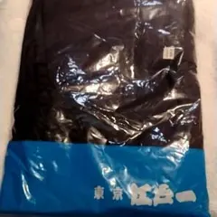 Item thumbnail for item 20ae3eae-2d93-4159-a14d-63b4c731a609