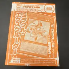 ミラクル・エクスクルーダー1枚