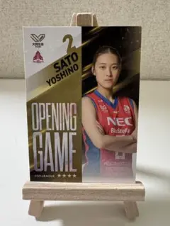 女子バレー　佐藤 淑乃　オープニングゲームカード　necレッドロケッツ