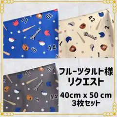 フルーツタルト様 リクエスト 3点 まとめ商品