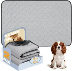 Item thumbnail for item 4281554c-e5dd-447b-b387-e70c392c8970