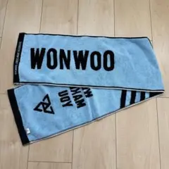 seventeen セブチ ode to you ウォヌ wonwoo タオル - メルカリ