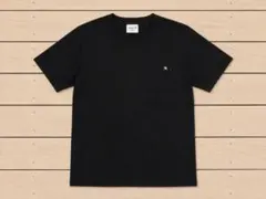 15【Arnold　palmer】アーノルドパーマー　Tシャツ Lサイズ