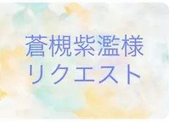 蒼槻紫濫様 リクエスト 2点 まとめ商品
