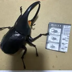 いきもの大図鑑　かぶとむし05 サタンオオカブト