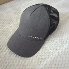 Item thumbnail for item 8a06313d-5e62-41ee-a42c-de33f3028a03