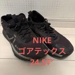 NIKE ゴアテックス　24.5センチのサムネイル