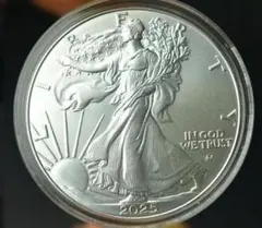 春*番様 プルーフ銀貨アメリカンイーグル 銀貨 2011 | Mercari