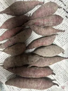 小さいさつまいも　紅はるか　紅あずま混合