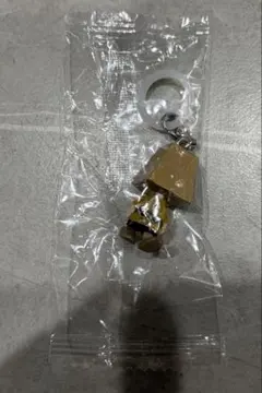 新品未開封 スヌーピー　チャーリーブラウン　めじるしアクセサリー