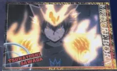 家庭教師ヒットマンREBORN! 沢田綱吉 カード