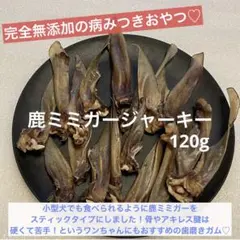 Item thumbnail for item 8a46848f-89ee-473a-aed4-1d8c34426024