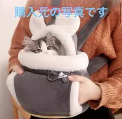 Item thumbnail for item 78eb0d21-39dd-4768-bccf-8a3eec33dcce