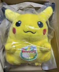 ポケモン30周年記念おかえり!ピカチュウ1/1新品