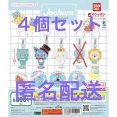 ジェオチャム　めじるしアクセサリー　4個セット