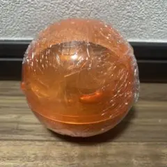 ワンピの実