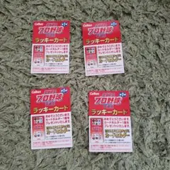 2025 プロ野球チップス ラッキーカード応募券