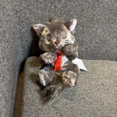 ぬいぐるみバッジ　ぬいぐるみ　ショルダーバッグ　ベルリオーズ　トゥールーズ ぬいぐるみバッジ ぬいぐるみ ショルダーバッグ ベルリオーズ