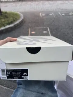 Supreme × Nike SB Dunk Low 