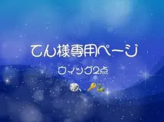 てん様専用 ウィッグ2点