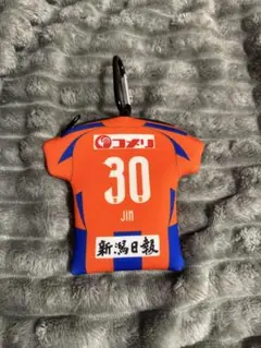 アルビレックス新潟 ネオプレーンケース 奥村仁
