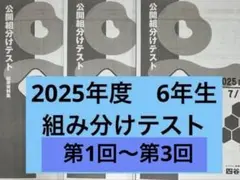 2026年最新】四谷大塚 組分けテスト 6年の人気アイテム - メルカリ