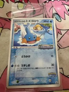 ポケパークのミズゴロウ PROMO PCG-Pプロモカード 048/PCG-P