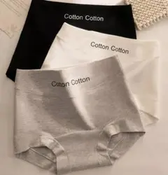 サニタリーショーツ 3色セット