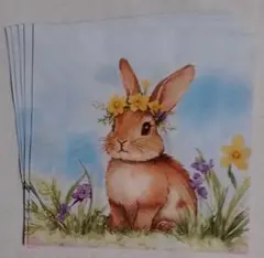 めぐりん様 リクエスト 3点 まとめ商品