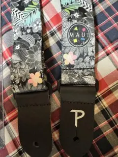 Item thumbnail for item 954a20e7-5e82-49d9-845e-325cfe2caba6