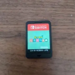 あつまれ どうぶつの森 Nintendo Switch
