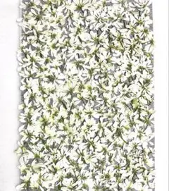 Item thumbnail for item 5fba4b9f-ef35-4f3a-9524-869b9c90c289