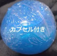 ワンピの実 “GRAND CAPSULE” Vol.01【Special】