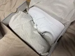 Nike Air Force 1 White 28.0cm