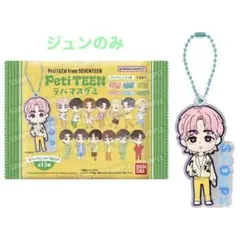 SEVENTEEN PETITEEN ラバマスグミ　ジュンのみ