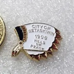 Item thumbnail for item efe381fb-59a5-45fc-a448-e317157ff032