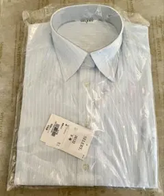 Item thumbnail for item 17eed35d-e039-442a-b66b-feaad98a5c60