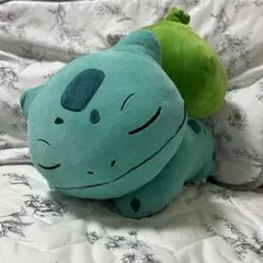【激レア】韓国限定 ポケモンセンター フシギダネ 等身大 ぬいぐるみ 激レア】韓国限定 ポケモンセンター フシギダネ 等身大 ぬいぐるみ