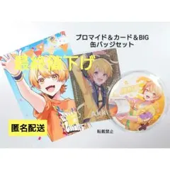 【最終値下げ】あっきぃ ブロマイド＆カード＆BIG缶バッジ