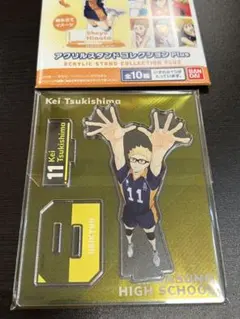 ハイキュー　アクリルスタンドコレクションPlus アクリルスタンド　月島蛍