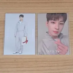 SEVENTEEN Ode to you オデコン トレカ ウォヌ 2枚セット