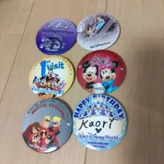 ウォルト・ディズニーワールド　缶バッチ６こ