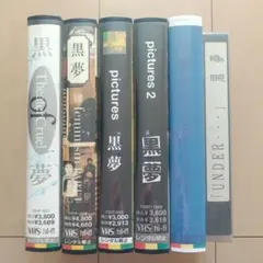 三池崇史監督 黒社会三部作 Blu-ray - メルカリ