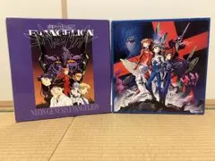 新世紀エヴァンゲリオン　LD レーザーディスクBOX付き