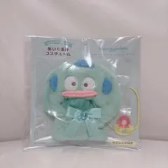 ハンギョドン ぬいぐるみコスチューム