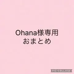 ohana様 リクエスト 2点 まとめ商品