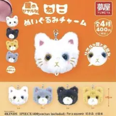 猫カフェMOCHA めじるしチャーム アルシェ大宮店 - メルカリ