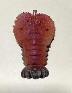 2026年最新】地球生命紀行 蟹・海老の人気アイテム - メルカリ