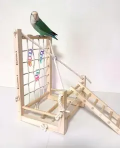 2025年最新】鳥 アスレチックの人気アイテム - メルカリ