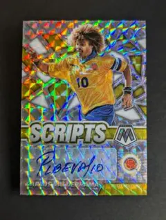 2025年最新】カルロス バルデラマの人気アイテム - メルカリ